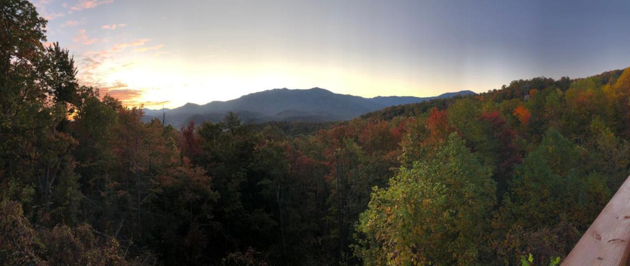 Heavenly View - Bear Themed Cabin, Hottub, Dog-Friendly, Near Gatlinburg Exterior foto