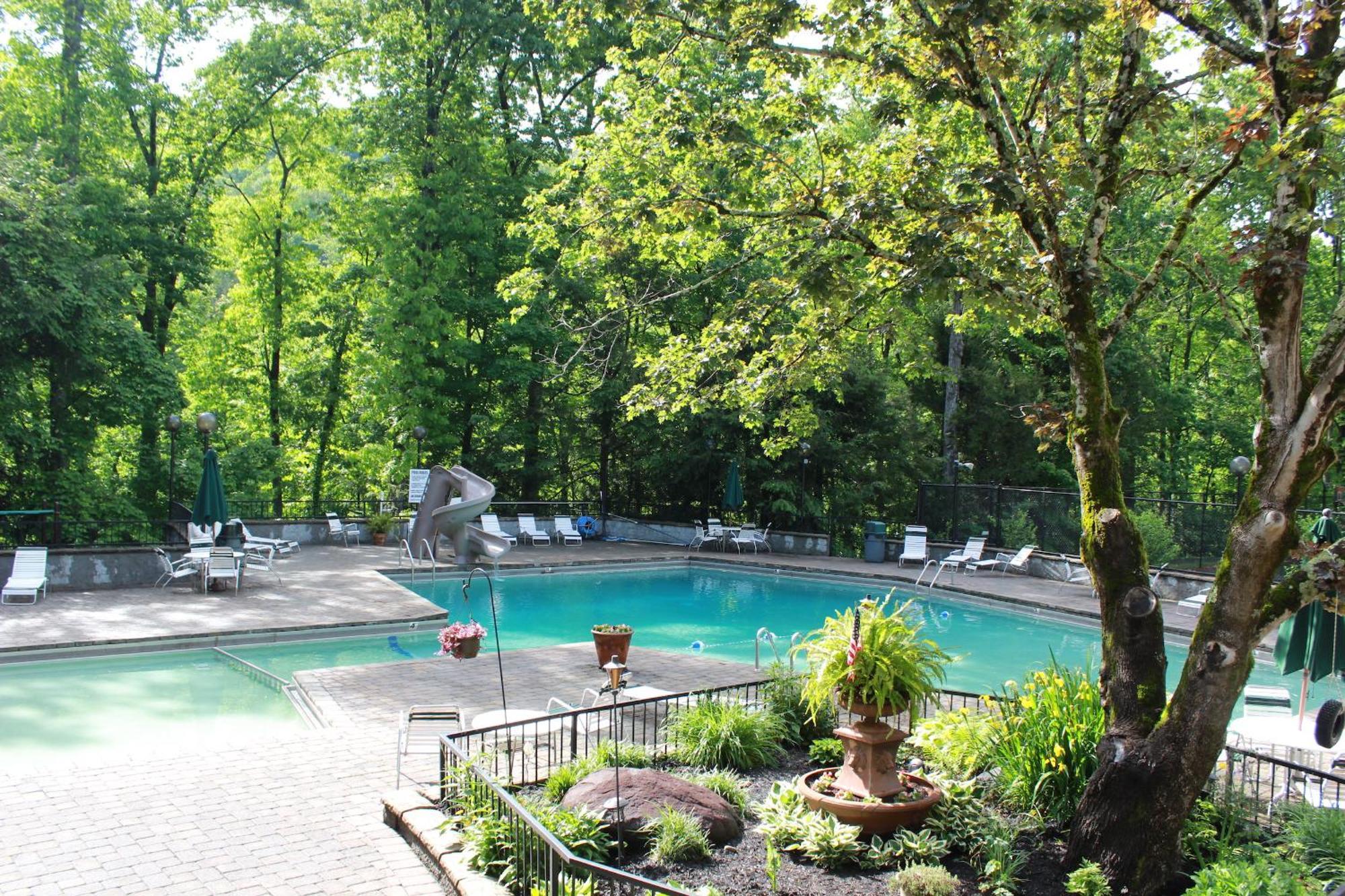 Heavenly View - Bear Themed Cabin, Hottub, Dog-Friendly, Near Gatlinburg Exterior foto