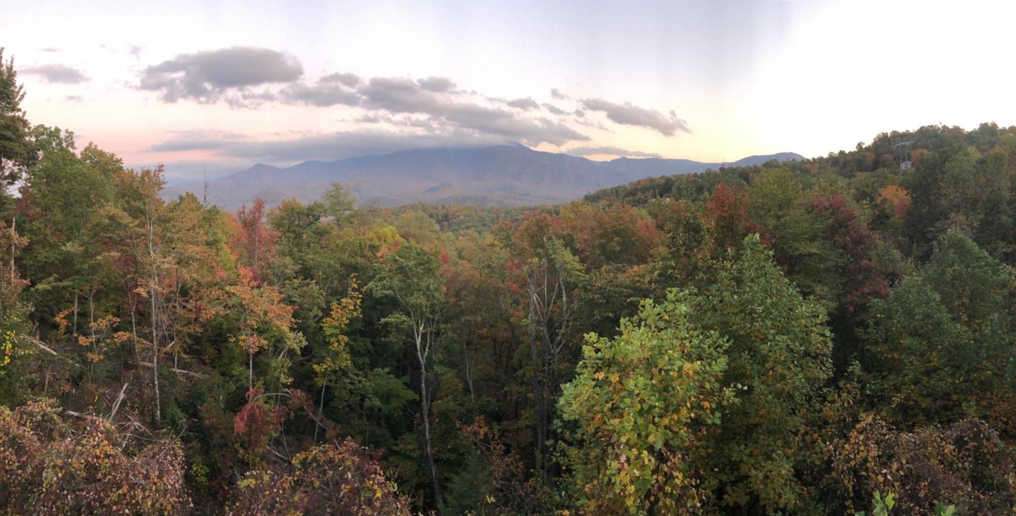 Heavenly View - Bear Themed Cabin, Hottub, Dog-Friendly, Near Gatlinburg Exterior foto